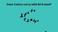 Does Costco carry wild bird seed