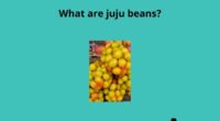 What are juju beans