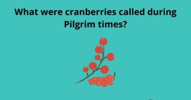 What were cranberries called during Pilgrim times