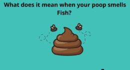 What does it mean when your poop smells Fish