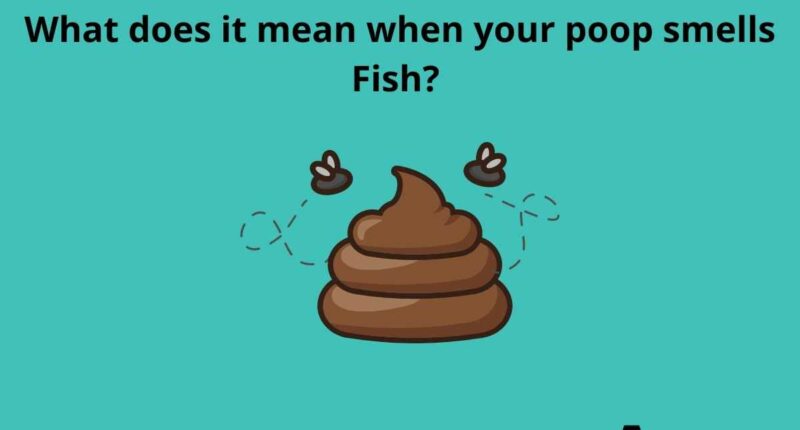 What does it mean when your poop smells Fish