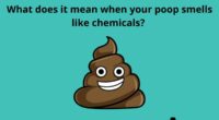What does it mean when your poop smells like chemicals