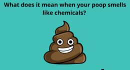 What does it mean when your poop smells like chemicals