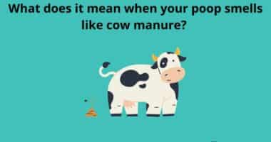 What does it mean when your poop smells like cow manure