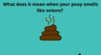 What does it mean when your poop smells like onions