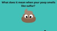 What does it mean when your poop smells like sulfur