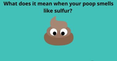 What does it mean when your poop smells like sulfur