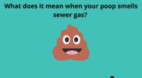 What does it mean when your poop smells sewer gas