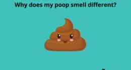 Why does my poop smell different? 3 Why does my poop smell different