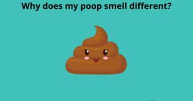 Why does my poop smell different