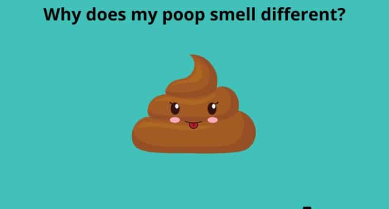 Why does my poop smell different