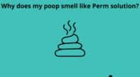 Why does my poop smell like Perm solution
