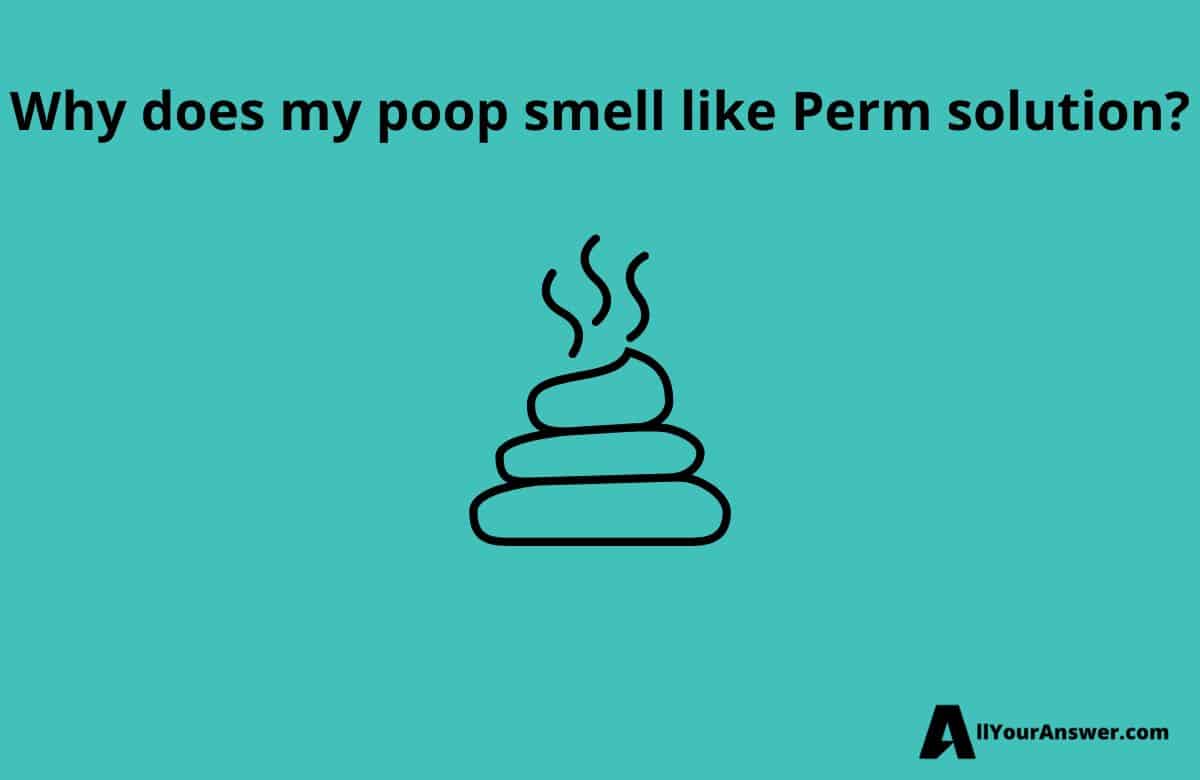 Why does my poop smell like Perm solution?