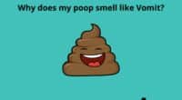 Why does my poop smell like Vomit