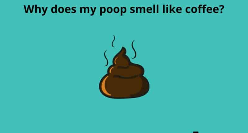 Why does my poop smell like coffee