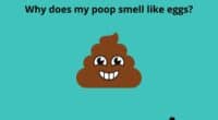 Why does my poop smell like eggs