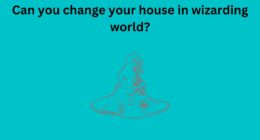 Can you change your house in wizarding world