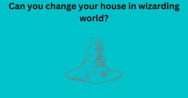 Can you change your house in wizarding world