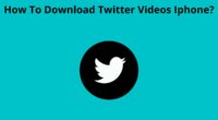 How To Download Twitter Videos Iphone 1