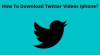 How To Download Twitter Videos Iphone