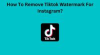 How To Remove Tiktok Watermark For Instagram