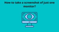 How to take a screenshot of just one monitor