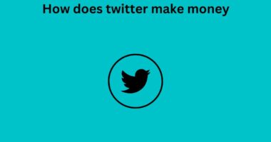 How does twitter make money