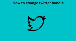 How to change twitter handle
