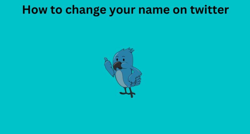 How to change your name on twitter
