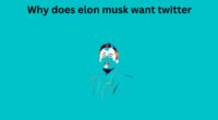 Why does elon musk want twitter