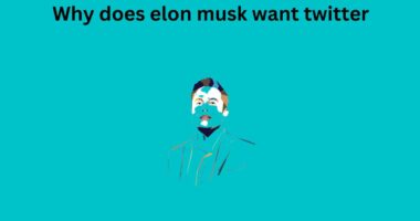 Why does elon musk want twitter