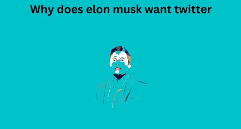 Why does elon musk want twitter